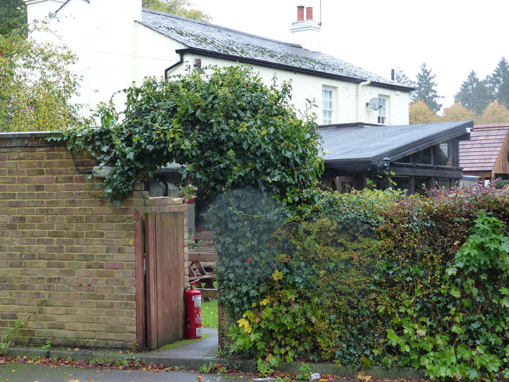 The Sun Inn Englefield Green Exteriér fotografie